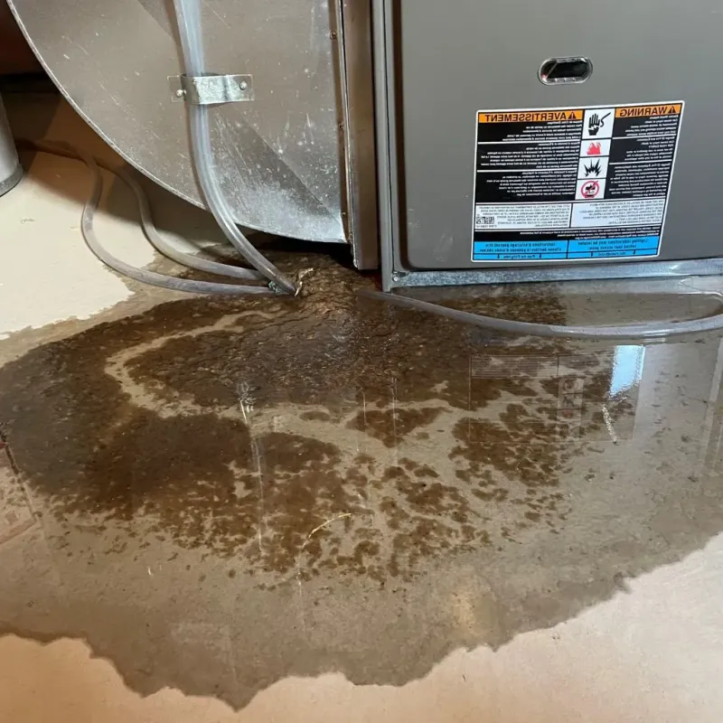 Pipe Burst and Leak Restoration in New Dorp, NY